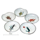 2023016set Kutani-Ware No.3 Fish Dish 5Pcs/Unit